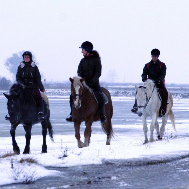 Winter: Ausreiten mit dem Pferd - 3 Reiter © Roland Vidmar, videomar.at