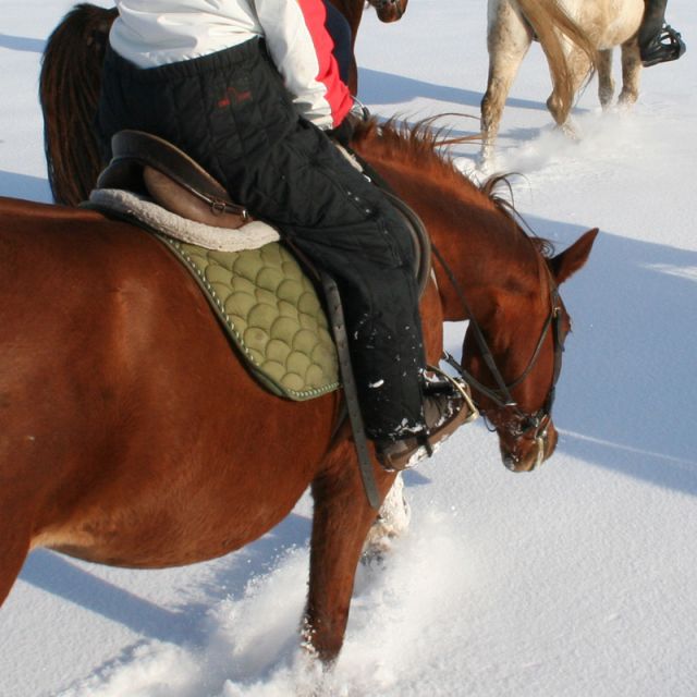 Winter: Reiten mit Skihose am Pferd © Roland Vidmar, videomar.at
