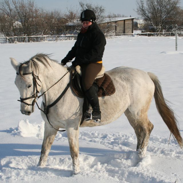 Winter: Reiterin mit ihrem Pferd im Schnee © Roland Vidmar, videomar.at